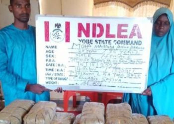 NDLEA nabs pregnant woman, 27 others