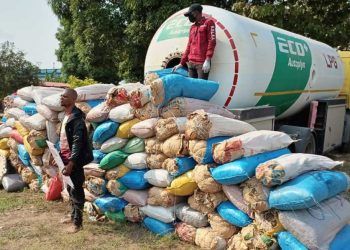 NDLEA parades church overseer, intercepts 1,430kgs cannabis in LNG truck