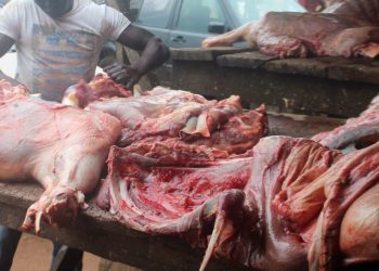 Naira scarcity: Butchers lament inability to purchase cattle