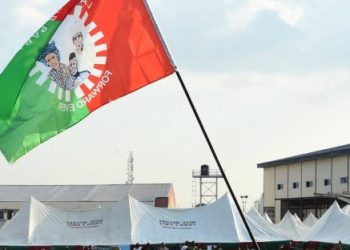 LP candidate snatches Kaura Federal Constituency seat from PDP