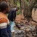 Deogratias Kasereka (R), the chief of the village of Mukondi, searches the remains of a house burned down during an attack attributed to the ADF in Mukondi, about 30 kilometers from the town of Beni, in eastern Democratic Republic of Congo, on March 10, 2023. – A village in eastern Democratic Republic of Congo lies almost deserted, haunted by the few survivors of an attack by the brutal fighters from the Allied Democratic Forces militia.They killed over 40 people in twin village attacks in eastern Democratic Republic of Congo this week. (Photo by Joel Bibuya / AFP)