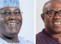 Appeal Court grants Atiku, Obi leave to inspect election materials