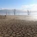 A view of a cracked ground near the Sidi El Barrak dam with depleted levels of water, in Nafza, west of the capital Tunis, Tunisia, January 7, 2023. REUTERS/Jihed Abidellaoui