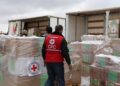 First Red Cross aid flight lands in Sudan as fighting rages