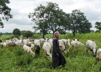 Death toll in central Nigeria clashes rises to 85