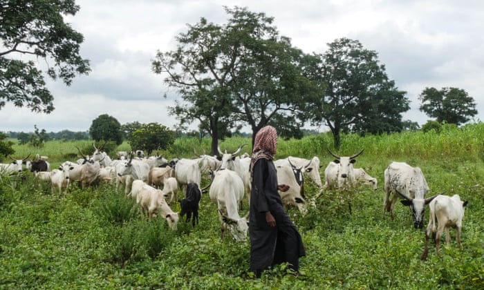 Death toll in central Nigeria clashes rises to 85