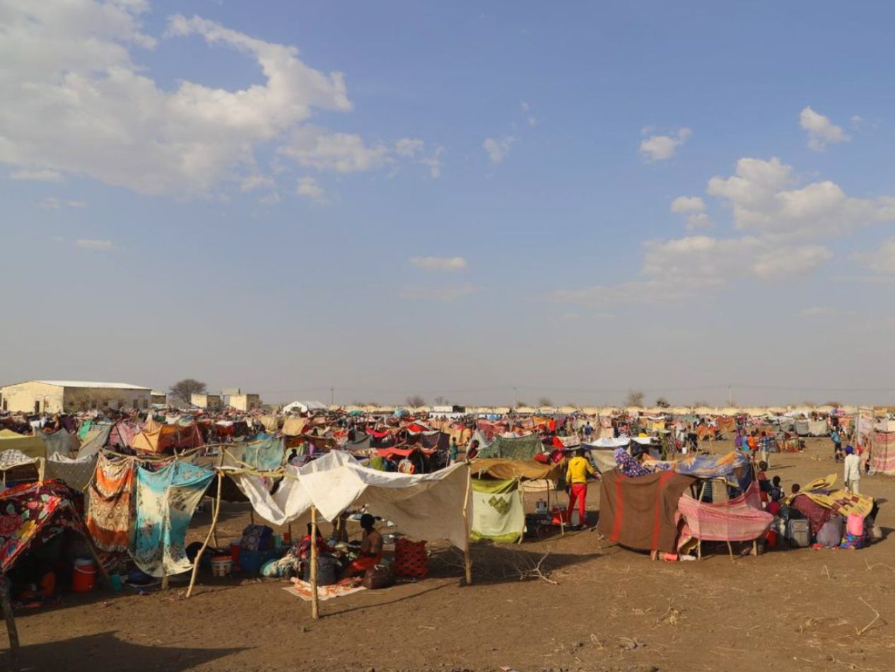 IOM appeals for $209m to urgently respond to Sudan crisis