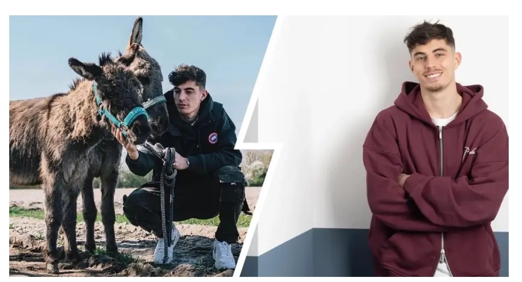 Kai Havertz wants to be called donkey at Arsenal - Here's why