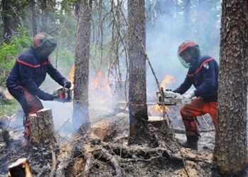 This July 12, 2023, image released by the French General Directorate for Civil Protection and Crisis Management (DGSCGC) shows Quebec firefighters battling wildfires in the Abitibi-Témiscamingue region of Quebec, more than 650kms (400 miles) north of Montreal. – A record 22.7 million acres (9.2 million hectares) have burned so far by wildfires raging across Canada, according to the Canadian Interagency Forest Fire Centre on July 10, 2023. (Photo by Carlo ZAGLIA / General Directorate for Civil Protection and Crisis Management / AFP)