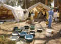 FILE – Health workers attend to patients suffering from cholera symptoms at a local hospital in Harare, Tuesday, Sept, 11, 2018. Zimbabwe has recorded 100 suspected deaths from cholera and more than 5,000 possible cases since late Sept. 2023. That has prompted the government to impose restrictions to stop the spread of the disease, including limiting numbers at funerals and stopping some social gatherings in affected areas. (AP Photo/Tsvangirayi Mukwazhi, File)