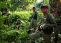 Nine Philippine communist rebels dead in clashes: military