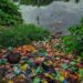 This photo taken on June 6, 2020, shows styrofoam packs and other plastics at the bank of a canal in Festac Town, Lagos. PHOTO: TONYE BAKARE