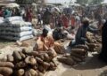 General view of the market in Jibia on February 18, 2024. (Photo by Kola Sulaimon / AFP)