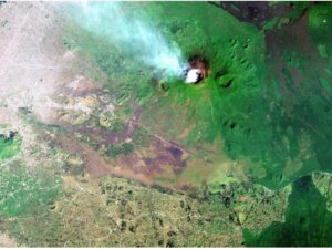 DR Congo Conflict Fuels Forest Loss