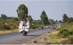 DR Congo Conflict Fuels Forest Loss