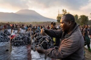 DR Congo Conflict Fuels Forest Loss